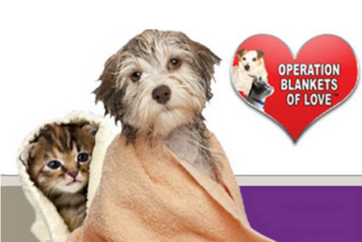 Community Involvement - Picture